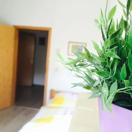 Rael-boardinghouse 3* بيليفيلد